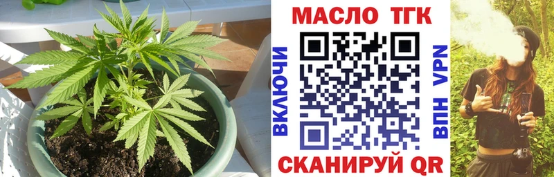 Купить где  Ревда  ТГК концентрат 