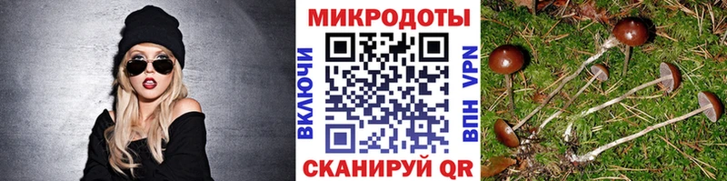 Псилоцибиновые грибы Cubensis  Купить закладки  Ревда 
