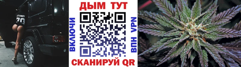 Купить  Ревда  Канабис ГИДРОПОН 